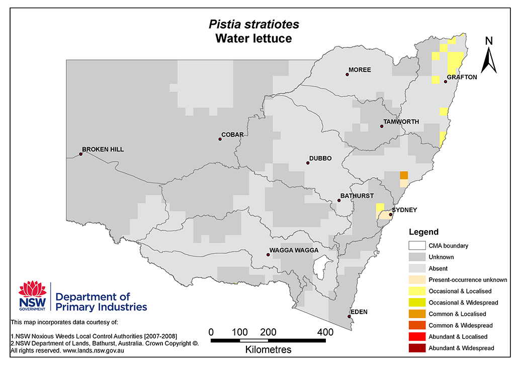 NSW Distribution Map - Water lettuce