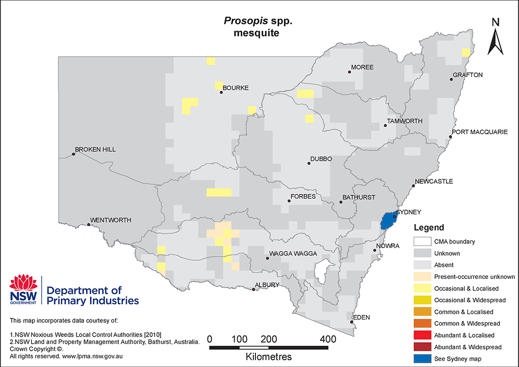 NSW Distribution Map - Mesquite