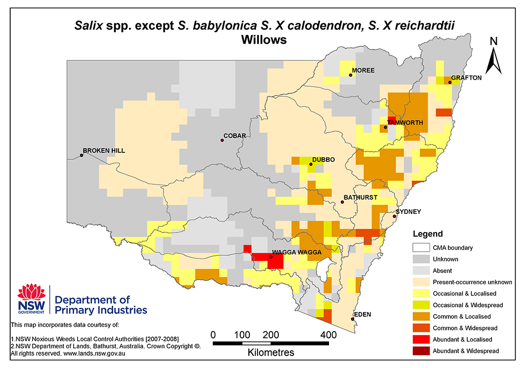 NSW Distribution Map - Willows