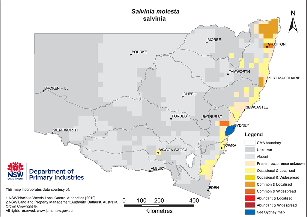 NSW Distribution Map - Salvinia