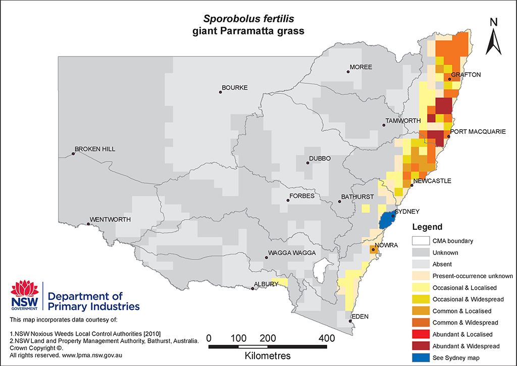 NSW Distribution Map - Giant Parramatta grass