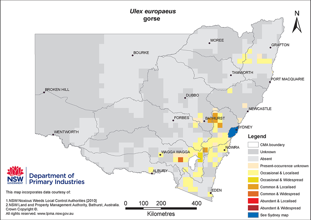 NSW Distribution Map - Gorse