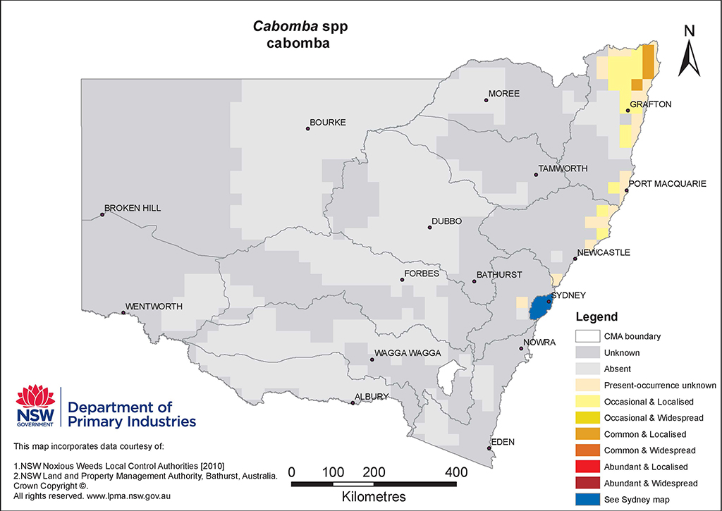 NSW Distribution Map - Cabomba