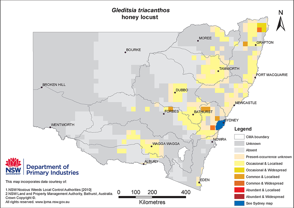 NSW Distribution Map - Honey locust