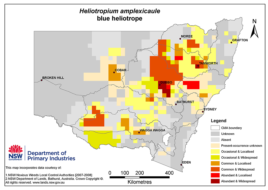 NSW Distribution Map - Blue heliotrope