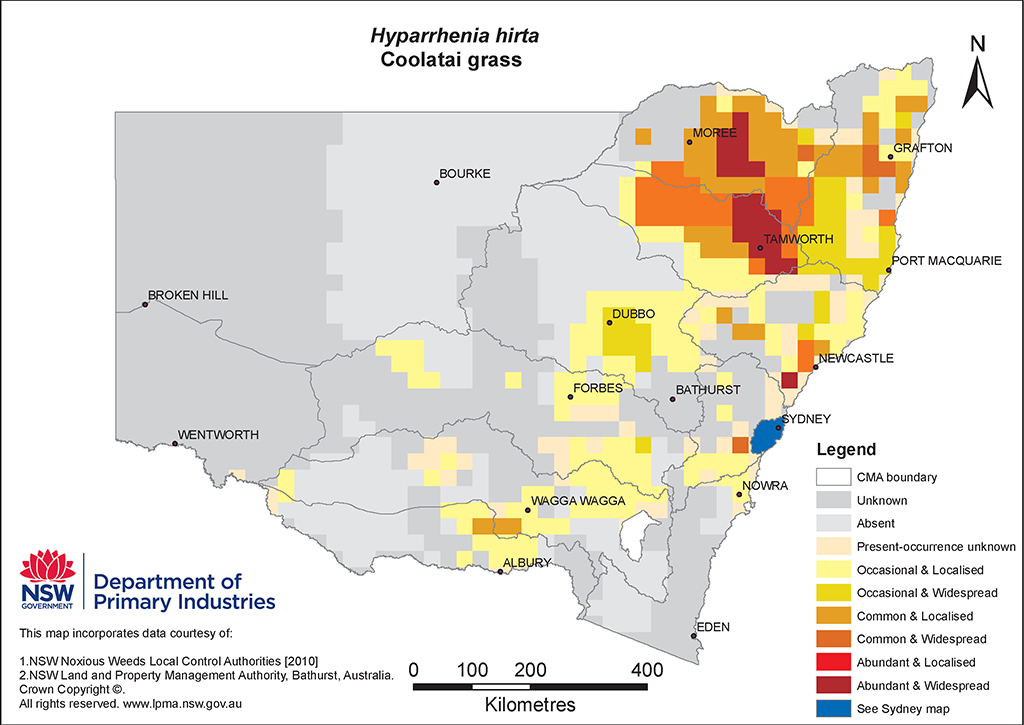 NSW Distribution Map - Coolatai grass