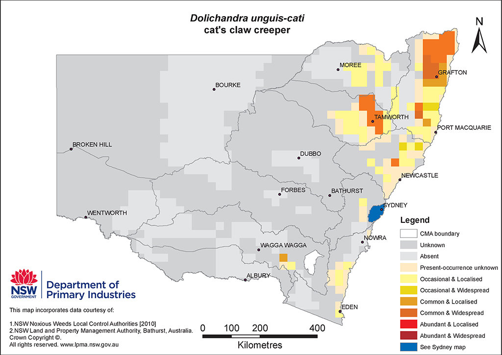 NSW Distribution Map - Cat's claw creeper