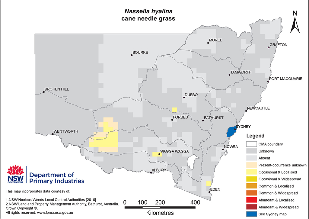 NSW Distribution Map - Cane needle grass