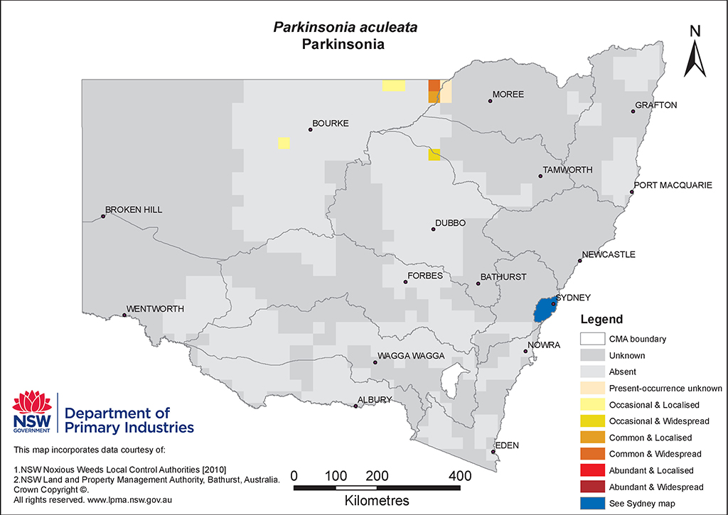 NSW Distribution Map - Parkinsonia