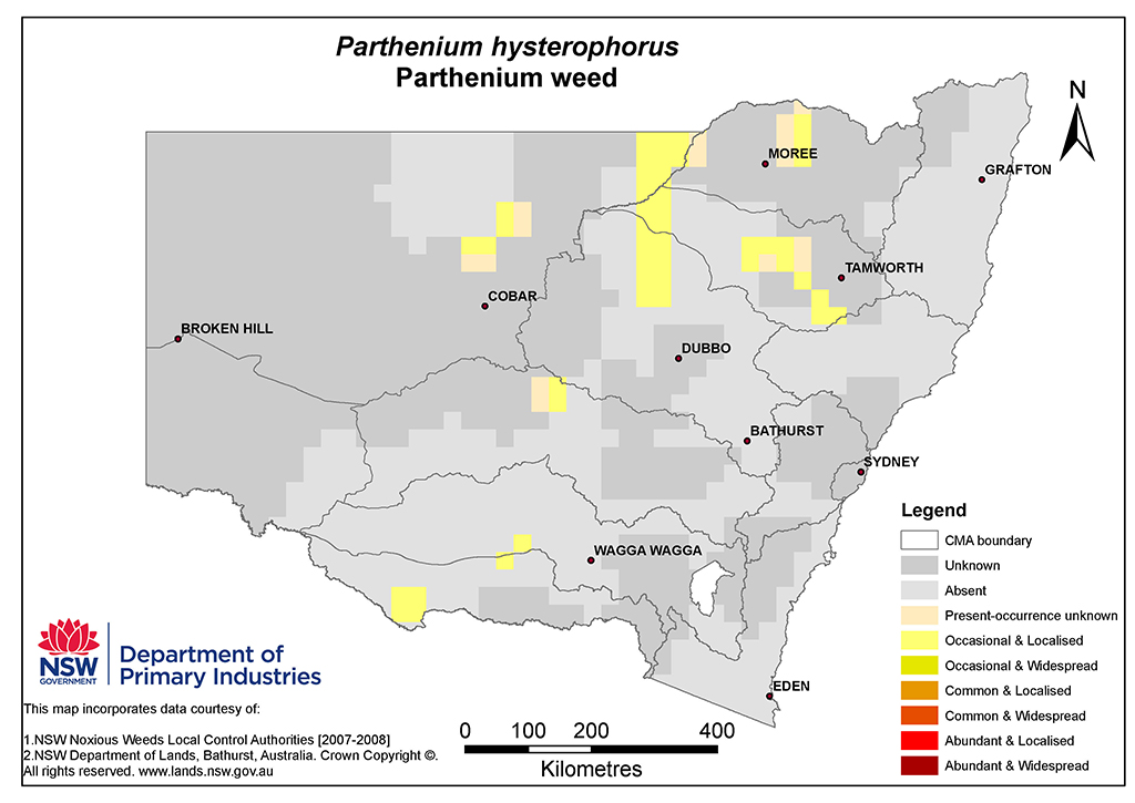NSW Distribution Map - Parthenium weed