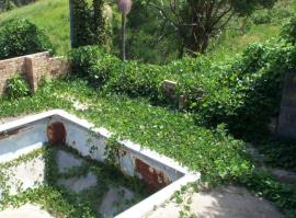  Kudzu can smother infrastructure including buildings and fences.