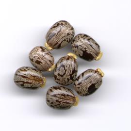 The seeds of castor oil plant are up to 15 mm long and 10 mm wide.