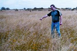 Lobed needle grass is a successful competitor with native grasses but has no nutritional value.