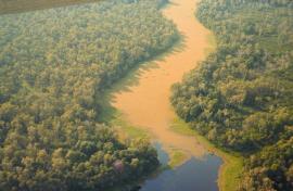 Still or slow-moving waterways are threatened by salvinia: Finniss River, NT, in November.